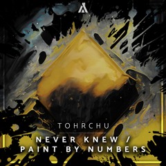 Tohrchu - Never Knew / Paint By Numbers