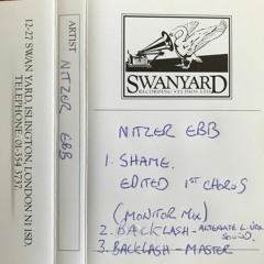 Nitzer Ebb - Shame Edited 1st Chorus (Monitor Mix)