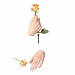 Hanna Tillberg, Dissociare – en historia om nattskräck