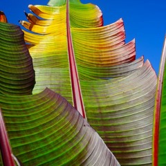 Four Tet - Only Human (KIMBY REMIX)