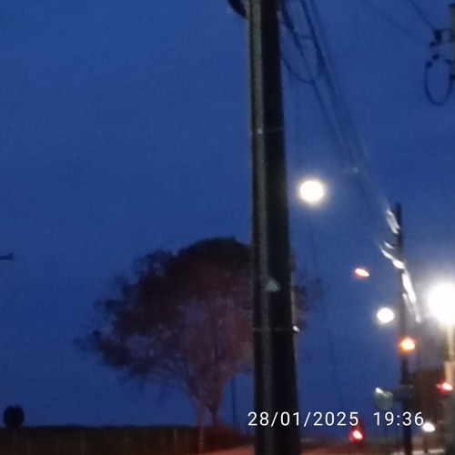 os meus ossos não aguentam mais carregar tanto peso.....