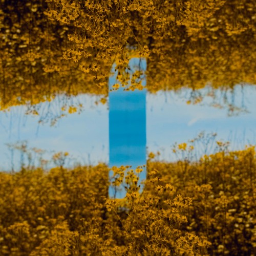 Aalson - World Of Reflections (Peer Kusiv Remix)