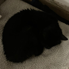 The Storm God Sleeps