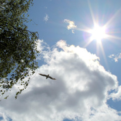 To the Sun