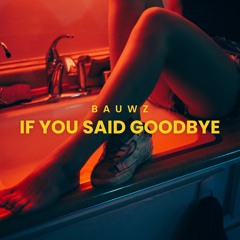 BAUWZ - IF YOU SAID GOODBYE