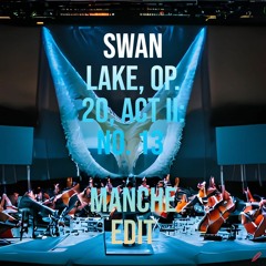 Swan Dance (Manche Edit)