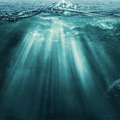 Purpose - AndreKING x O-Tavio x Static Sets