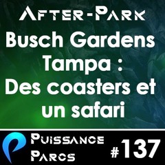 #137 - Busch Gardens Tampa: des Coasters et un Safari... (AFTER-PARK)