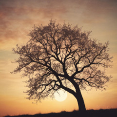 But Time Moves On