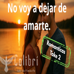 No voy a dejar de amarte