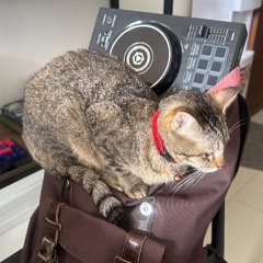 almost 2 hours of me playing in a retail store