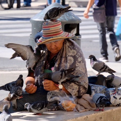 Freeform and Switch - No More Conversations VS Ch4rl33 - Dancin Pigeons