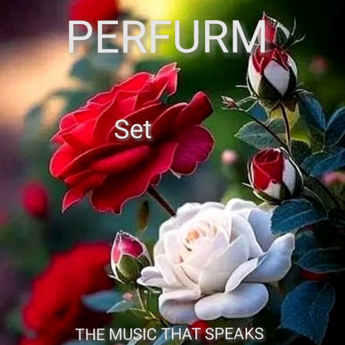 PERFURM - SET  // SESION ESPECIAL MARIA JOSE NAVARRO . REC-2025-11-30