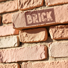 brick (prod. TRIXS!)