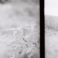 0420 I dont have it anymore