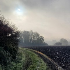 Solitude