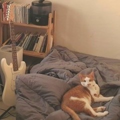 강백수 - 집에 가고 싶다