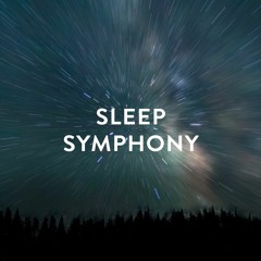 Mettaverse SleepSymphony 9min