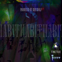 (DEMO)TXNITRUE - Habit feat. Iceey
