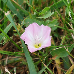 conversing_about_god_whilst_the_autistic_kid_digs_into_the_ground_with_his_hands_the_wind_blowing
