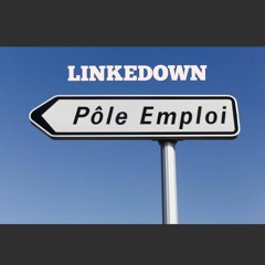 Linkedown EP 17 : Team leadaver et autocritique collective métissée.