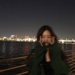 한강대교 (Han River Bridge)