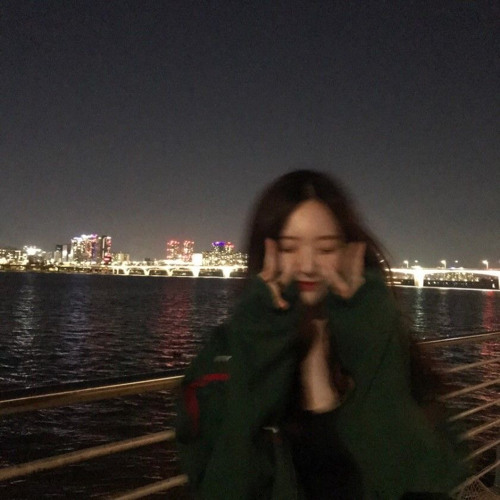 한강대교 (Han River Bridge)