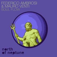 Federico Ambrosi, Mauro Venti - Soul Flow