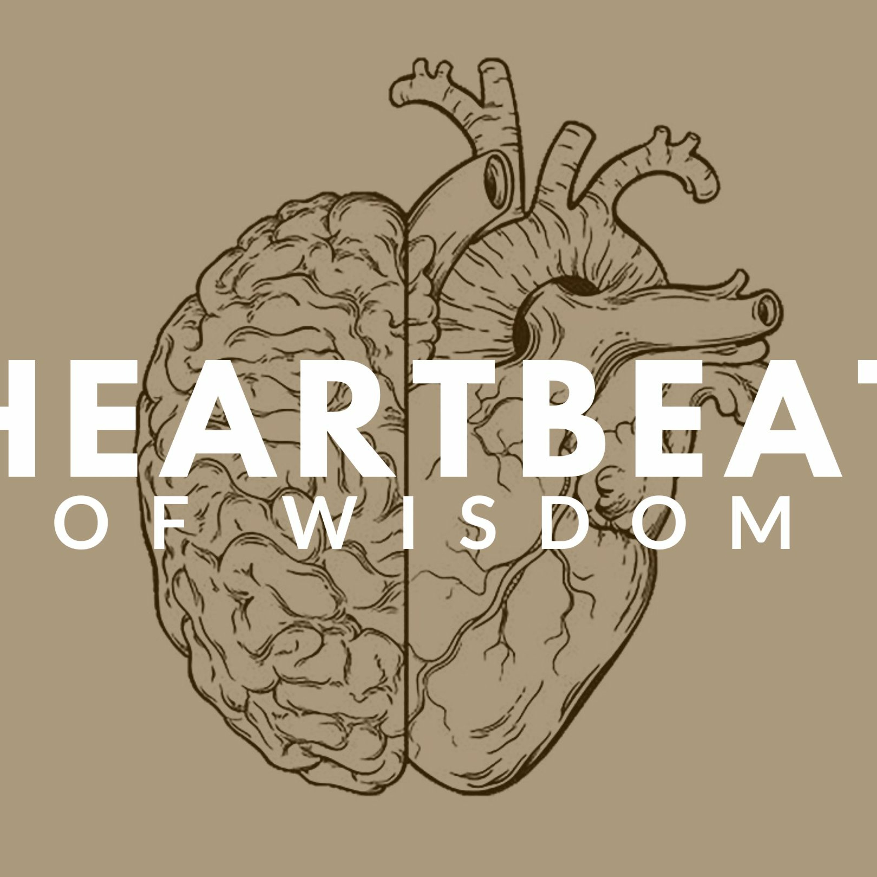 Wisdom of Rest episode artwork