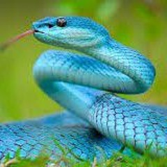တုနှိုင်းမဲ့ ရတနာ - ထူးအိမ်သင်