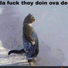 Random Standard -Whats he building in there.mp4