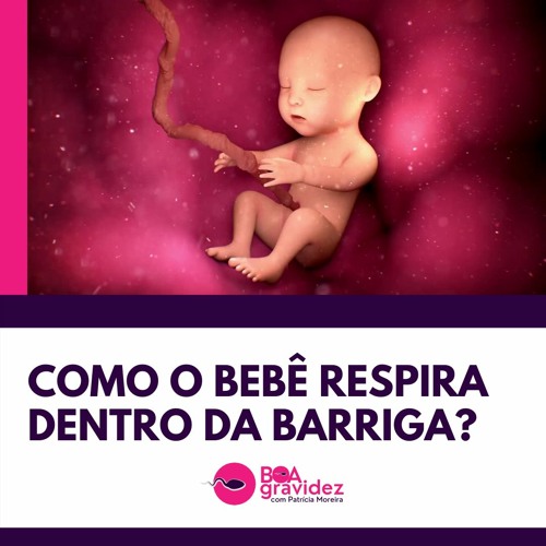 Stream episode COMO O BEBÊ RESPIRA DENTRO DA BARRIGA? by PATRICIA ...