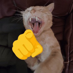 Angy Cat Boss