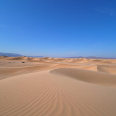 پیش‌درآمد، درآمد و چهارمضراب دشتی