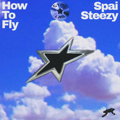 Spai Steezy - How To Fly (Adelaide Mix)