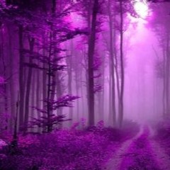 December - FinnessE X Cloud