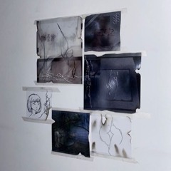 slow w/ veezuh (audii & zoo)