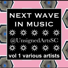 THE NEXT WAVE IN MUSIC vol 1 (various artists, various genres)