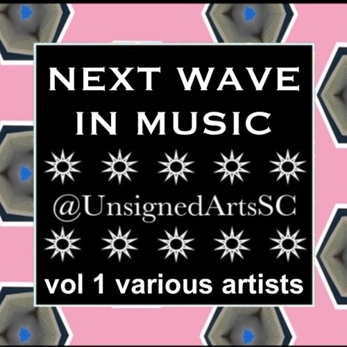 THE NEXT WAVE IN MUSIC vol 1 (various artists, various genres)