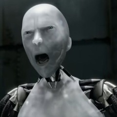 skywars#РОБОТРЭП