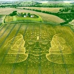 NO SIENTO DUB  - ARP VIBES .wav