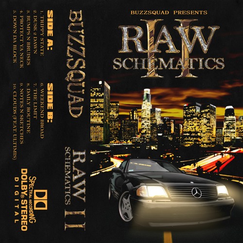 RAW SCHEMATICS 2