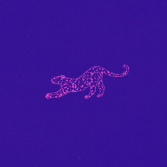 Coca Puma // Come Vuoi Edit