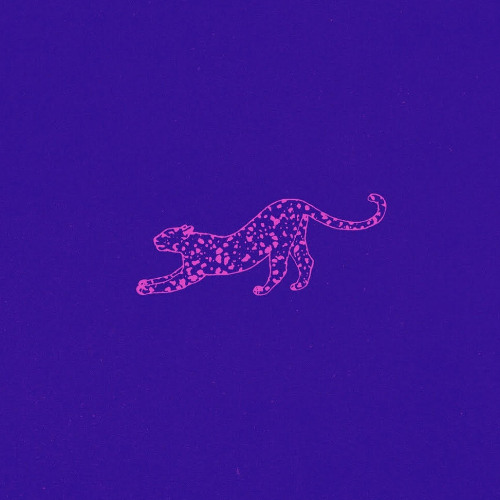 Coca Puma // Come Vuoi Edit