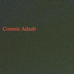 Cosmic Adaab on Fritto FM