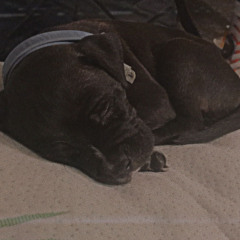 Major G- flooding Memories