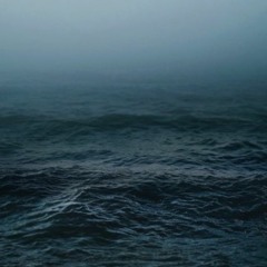 Falling Slowly - Glen Hansard & Marketa Irglova (Humanbin & Joana Pereira Cover)