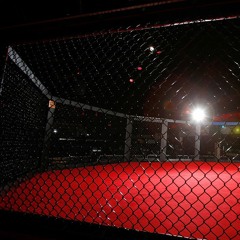 Cage Fight (Instrumental)