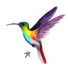 Kolibri Collective Leipzig