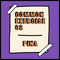 Common Exercise 03 - Pina